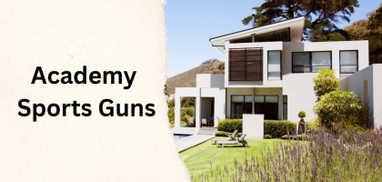 Academy Sports Guns