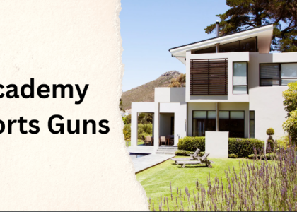 Academy Sports Guns